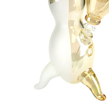 Load image into Gallery viewer, RoB Hurricane TDE 750 TT - Golden Window
